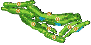 コース全体俯瞰図