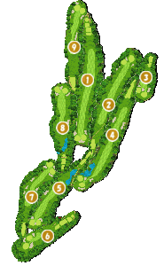 コース全体俯瞰図