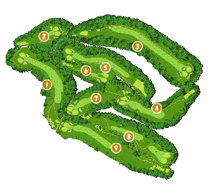 コース全体俯瞰図