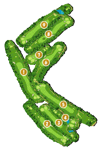 コース全体俯瞰図