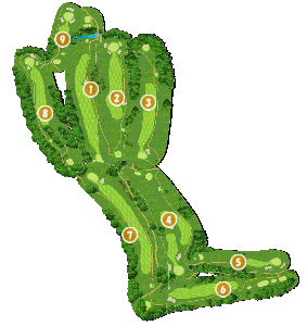 コース全体俯瞰図