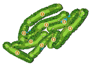 コース全体俯瞰図