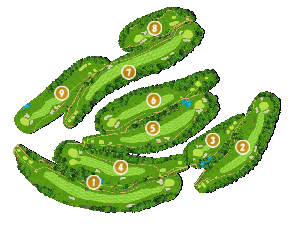 コース全体俯瞰図