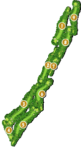 コース全体俯瞰図