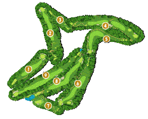 コース全体俯瞰図