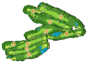 コース全体俯瞰図