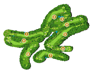 コース全体俯瞰図