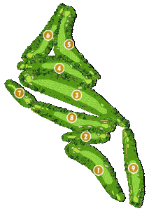 コース全体俯瞰図