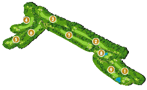 コース全体俯瞰図