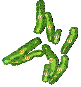 コース全体俯瞰図