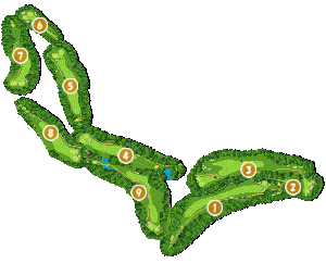 コース全体俯瞰図