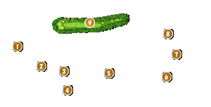 コース全体俯瞰図