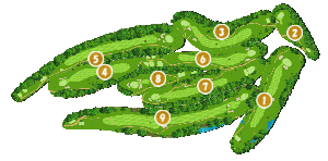 コース全体俯瞰図