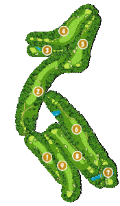 コース全体俯瞰図