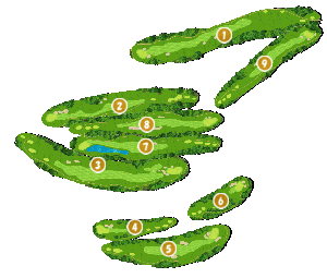 コース全体俯瞰図