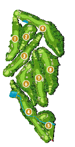 コース全体俯瞰図