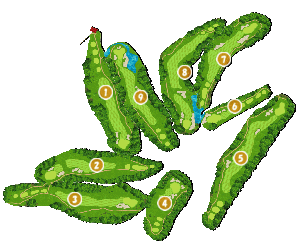 コース全体俯瞰図