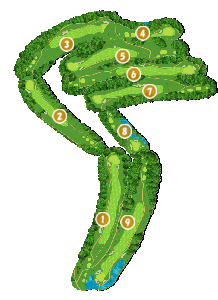 コース全体俯瞰図