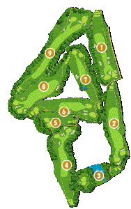 コース全体俯瞰図