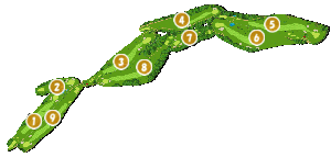 コース全体俯瞰図