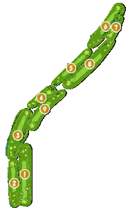 コース全体俯瞰図