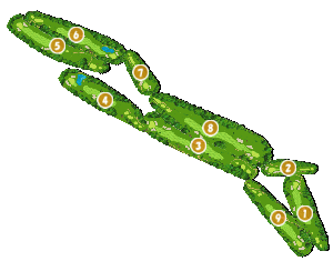 コース全体俯瞰図