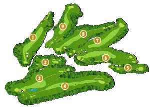 コース全体俯瞰図