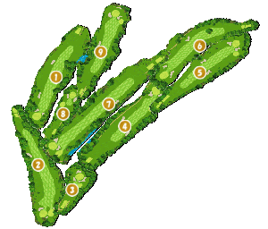 コース全体俯瞰図