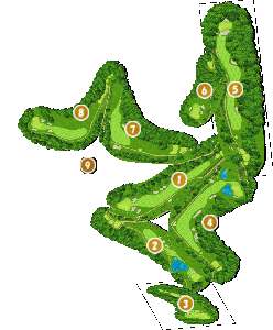 コース全体俯瞰図