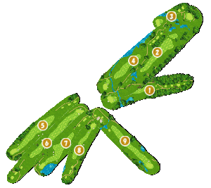 コース全体俯瞰図