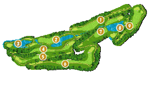 コース全体俯瞰図