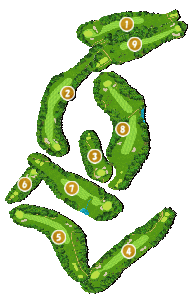 コース全体俯瞰図