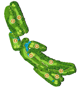 コース全体俯瞰図