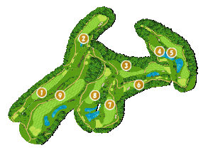 コース全体俯瞰図