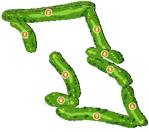 コース全体俯瞰図