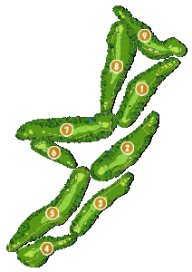 コース全体俯瞰図