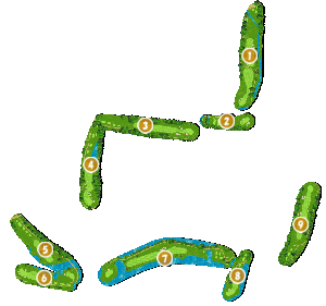 コース全体俯瞰図