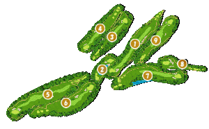 コース全体俯瞰図