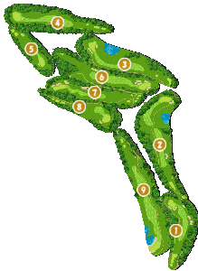 コース全体俯瞰図