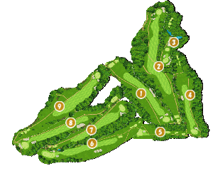 コース全体俯瞰図