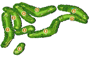 コース全体俯瞰図