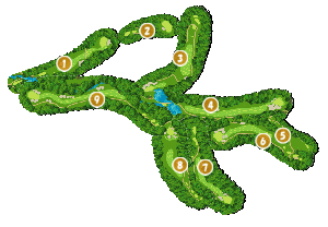 コース全体俯瞰図