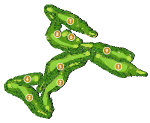 コース全体俯瞰図