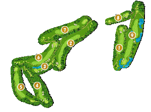 コース全体俯瞰図