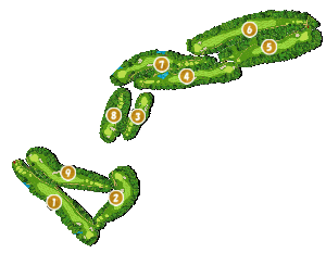 コース全体俯瞰図