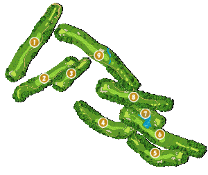 コース全体俯瞰図