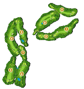 コース全体俯瞰図