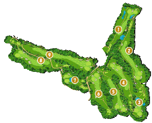 コース全体俯瞰図