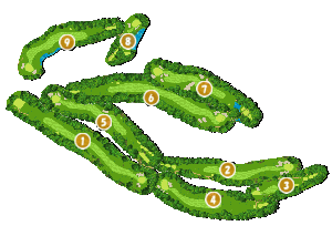 コース全体俯瞰図