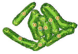 コース全体俯瞰図